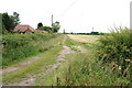 Track Alongside a Smallholding off the A5