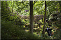 A bridge in Smithills Country Park