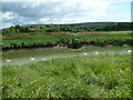 Sluice on the Adur near Upper Beeding