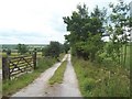 Peasunhurst Lane Public Footpath