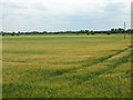 Farmland near Heck Hall Farm