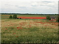 Farmland off Heck and Pollington Lane