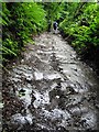 Slate bedded track to Oakhampton Quarry