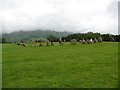 NY2923 : Castlerigg stone circle on a wet summer solstice by Stephen Craven