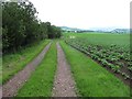 Farm road, Middlebank