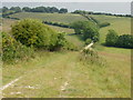 Path to Balmer Farm