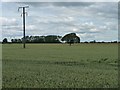 SE5221 : Telegraph pole in a wheatfield by Christine Johnstone