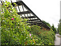 NY2723 : Dog rose at the old station by Stephen Craven