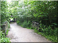 Bridge over a stream