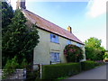 Roses around the door, Sturminster Marshall