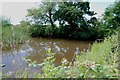 Farm Pond, Lower Drayton Farm