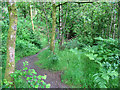 NY2824 : Footpath in Brundholme Wood by Stephen Craven