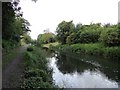 N8923 : Grand Canal east of Sallins, Co. Kildare by JP