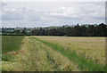 SO7992 : Farmland near Claverley, Shropshire by Roger  D Kidd