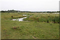 Vange Marshes Nature Reserve