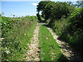 Looking east along The Old Coach Road