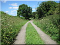 Summer Lane Byway