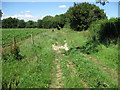 Ruts on the Byway