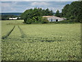 Barn at Amage Farm