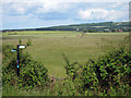 Fields at Naccott