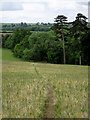 SO7992 : Farmland south of Claverley, Shropshire by Roger  D Kidd