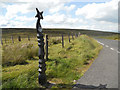 SN8395 : National Cycle Route 8 milepost by Row17