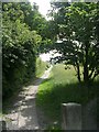 Footpath alongside Tong Moor - viewed from Moorlands Road