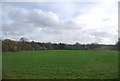 Field south of Guildford Rd