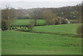 Rural scene south of Guildford Rd