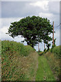 SO7992 : Byway to Claverley, Shropshire by Roger  D Kidd