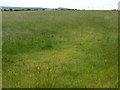 SE1012 : Grassy field west of Arborary Lane by Christine Johnstone