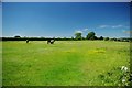 Paddock & Buckwyns Farm