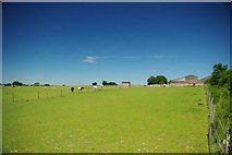 TQ6697 : Footpath &  Horse Sanctuary by Glyn Baker