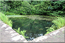 SK2670 : Pond near Cascade, Chatsworth House, Derbyshire by Christine Matthews
