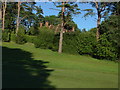 Worplesdon Golf Course