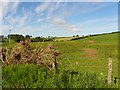 Mullybrannon Townland