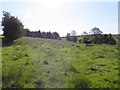 Lisdermot Townland