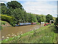 SJ5559 : Shropshire Union Canal At Beeston by Sue Adair