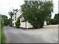 The Vine Tree, Norton