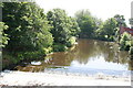 Padiham:  River Calder