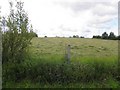 Tullyroan Townland