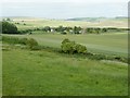 Looking NE from the side of Patching Hill