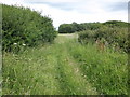 Footpath, to Great Wood