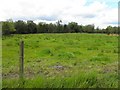 Ballynarry Townland