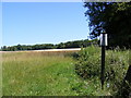 TL9664 : Footpath to Elmswell Hall by Geographer