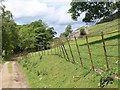 On the Nidderdale Way