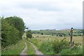 Footpath To Ribden