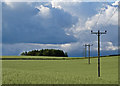 Farmland near Annfield