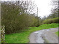 Footpath, Lynesack