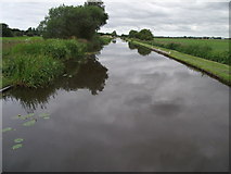 SD4616 : Leeds Liverpool Canal (Rufford Branch) by philandju